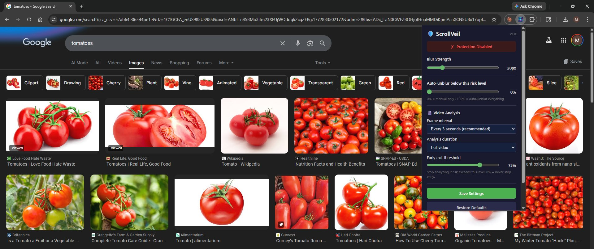 Tomato search with protection disabled showing popup settings